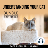 Understanding Your Cat Bundle, 2 in 1 Bundle