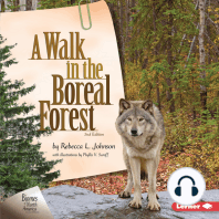 A Walk in the Boreal Forest, 2nd Edition