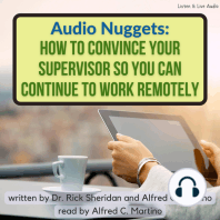 Audio Nuggets