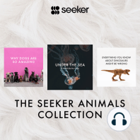 The Seeker Animals Collection