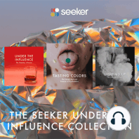 The Seeker Under the Influence Collection