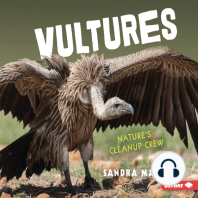 Vultures