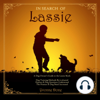In Search of Lassie