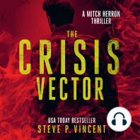 The Crisis Vector