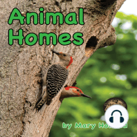 Animal Homes