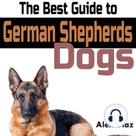The Best Guide to German Shepherds Dogs
