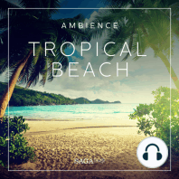 Ambience - Tropical beach