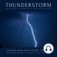Calming Rain and Distant Thunder - Thunderstorm Nature Sounds Recording - for Meditation, Relaxation and Sleep - Nature's Perfect White Noise
