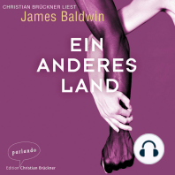 Ein anderes Land, Band (Ungekürzt)