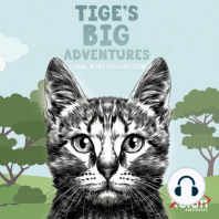 Tige's Big Adventures