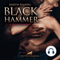 Black Hammer 1! 7 geile erotische Geschichten / Erotik Audio Story / Erotisches Hörbuch