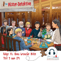 Die Alster-Detektive, Adventskalender, Teil 9