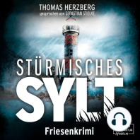 Stürmisches Sylt - Hannah Lambert ermittelt, Band 4 (ungekürzt)
