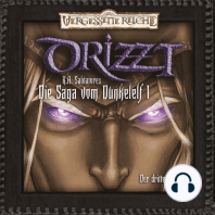 Drizzt, Folge 1