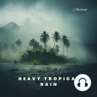 Heavy Tropical Rain