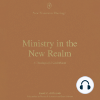 Ministry in the New Realm