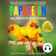 Papageien halten für Einsteiger