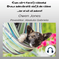 Cum Să-i Faceți CâineluiDvs.o Adevărată Viață De Câine