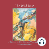 The Wild Rose