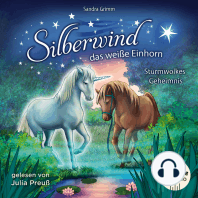 Silberwind, das weiße Einhorn (Band 4) - Sturmwolkes Geheimnis