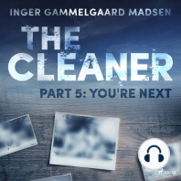 The Cleaner 5