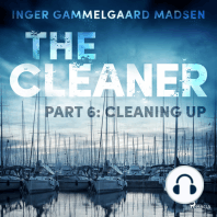 The Cleaner 6