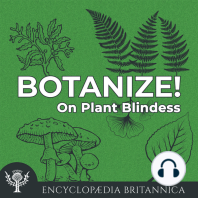 On Plant Blindness