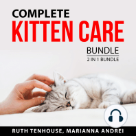 Complete Kitten Care Bundle, 2 in 1 Bundle