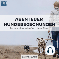 Abenteuer Hundebegegnungen