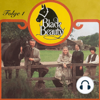 Black Beauty, Folge 1