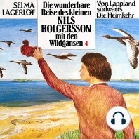 Nils Holgersson, Folge 4
