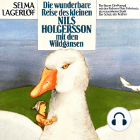 Nils Holgersson, Folge 1
