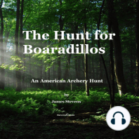 The Hunt for Boaradillos