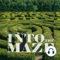 Into the Maze