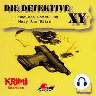 Die Detektive XY, Folge 1