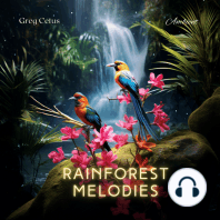 Rainforest Melodies