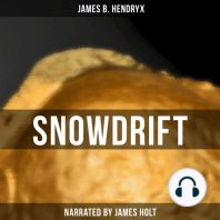 Snowdrift