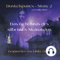 Dunkelspuren - Story 2