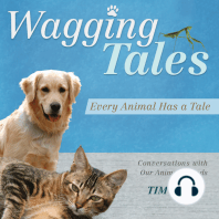 Wagging Tales