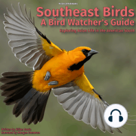 Southeast Birds - A Bird Watcher's Guide