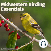 Midwestern Birding Essentials