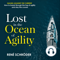 Lost in the Ocean of Agility