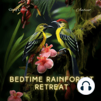 Bedtime Rainforest Retreat