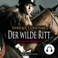 Der wilde Ritt / Erotik Audio Story / Erotisches Hörbuch