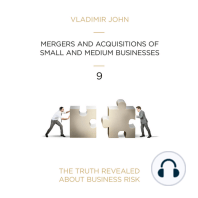 Mergers and Acqusitions of Small and Medium Businesses