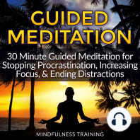 Guided Meditation - Stopping Procrastination