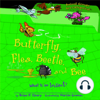 Butterfly, Flea, Beetle, and Bee