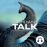 Elephant Talk