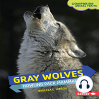 Gray Wolves