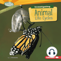 Investigating Animal Life Cycles